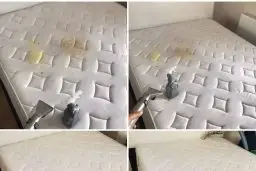 Alanya Mekan Yatak Yıkama